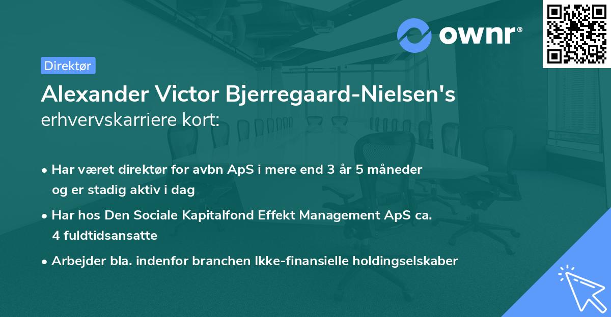 Alexander Victor Bjerregaard-Nielsen's erhvervskarriere kort