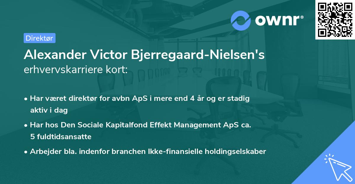 Alexander Victor Bjerregaard-Nielsen's erhvervskarriere kort