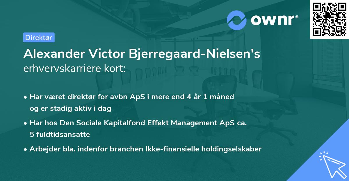 Alexander Victor Bjerregaard-Nielsen's erhvervskarriere kort
