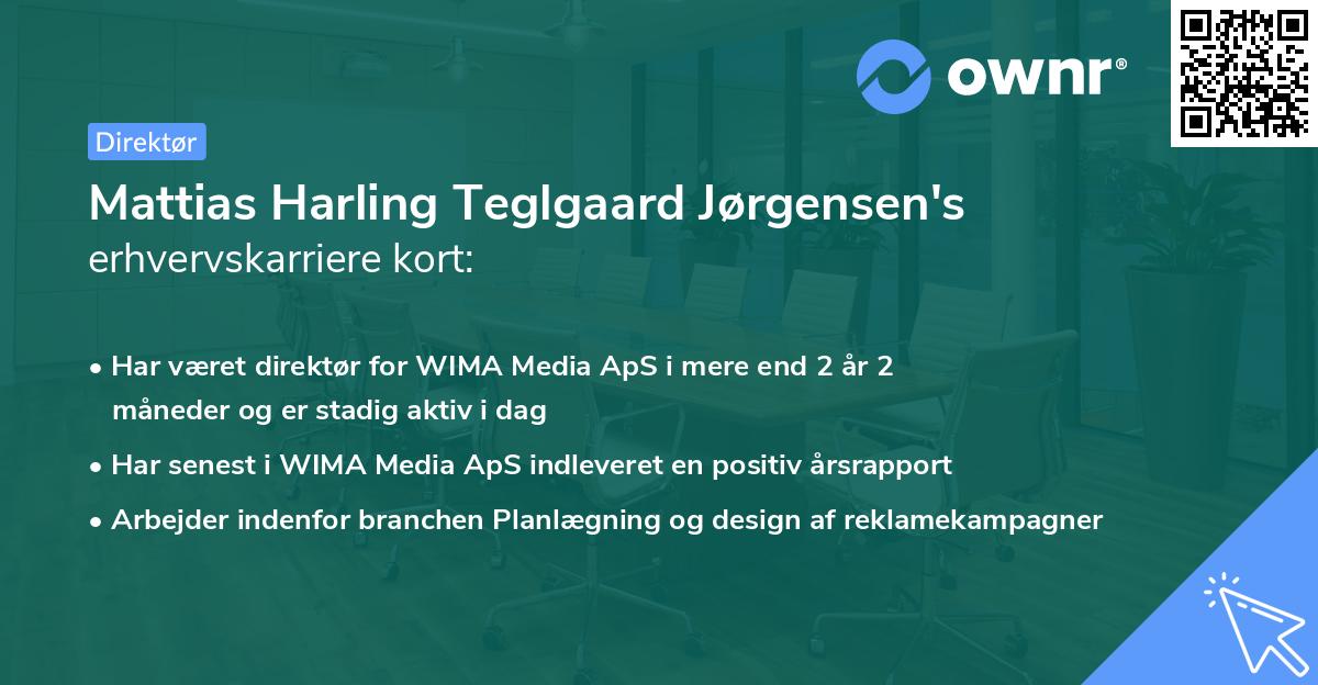 Mattias Harling Teglgaard Jørgensen's erhvervskarriere kort