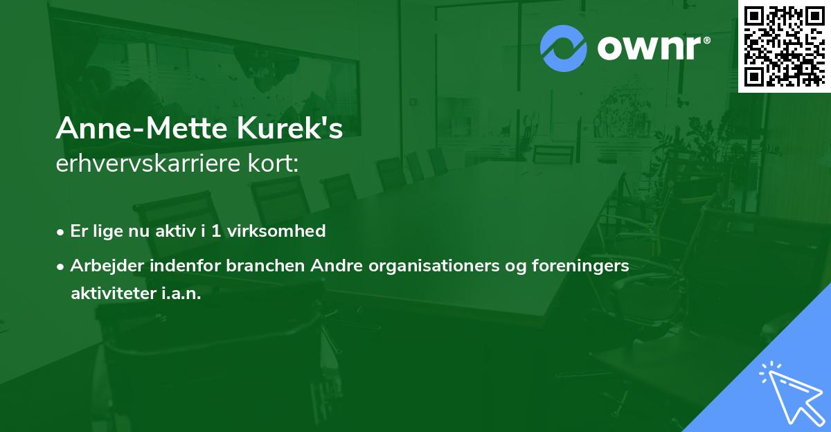 Anne-Mette Kurek's erhvervskarriere kort