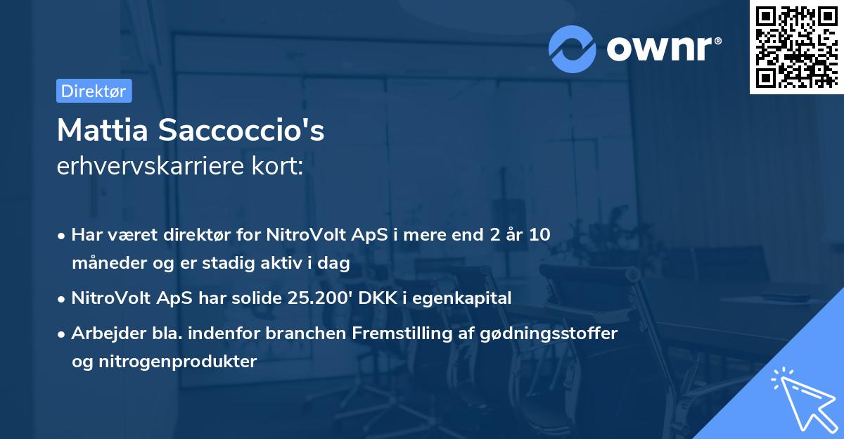 Mattia Saccoccio's erhvervskarriere kort
