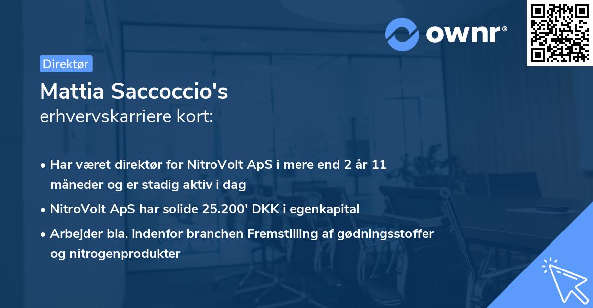 Mattia Saccoccio's erhvervskarriere kort