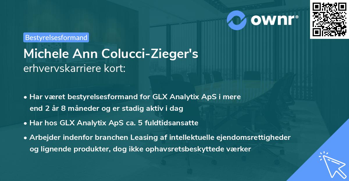 Michele Ann Colucci-Zieger's erhvervskarriere kort