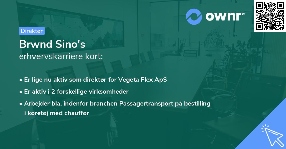 Brwnd Sino's erhvervskarriere kort