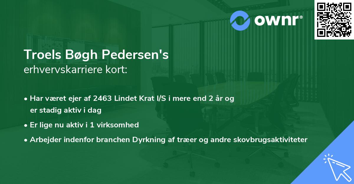 Troels Bøgh Pedersen's erhvervskarriere kort