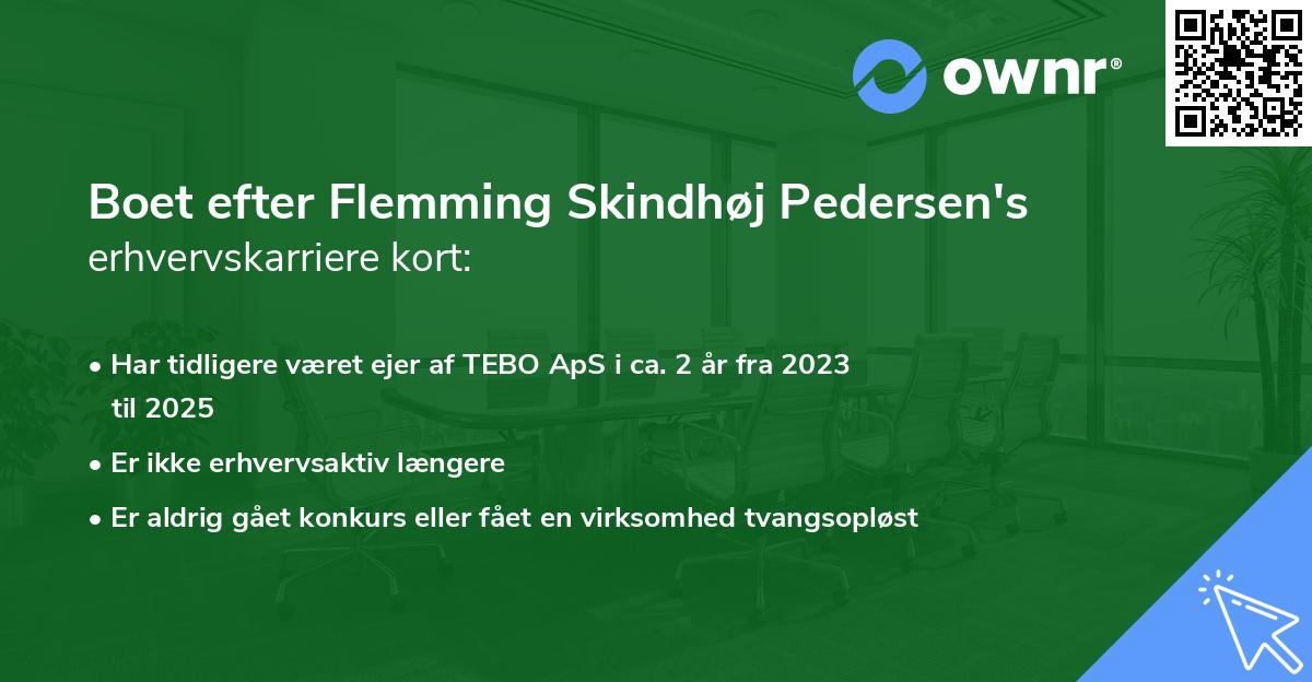Boet efter Flemming Skindhøj Pedersen's erhvervskarriere kort