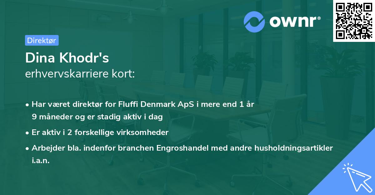 Dina Khodr's erhvervskarriere kort