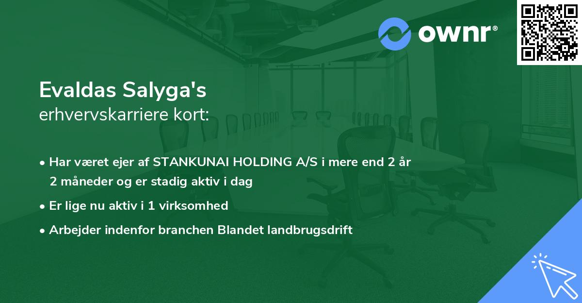 Evaldas Salyga's erhvervskarriere kort