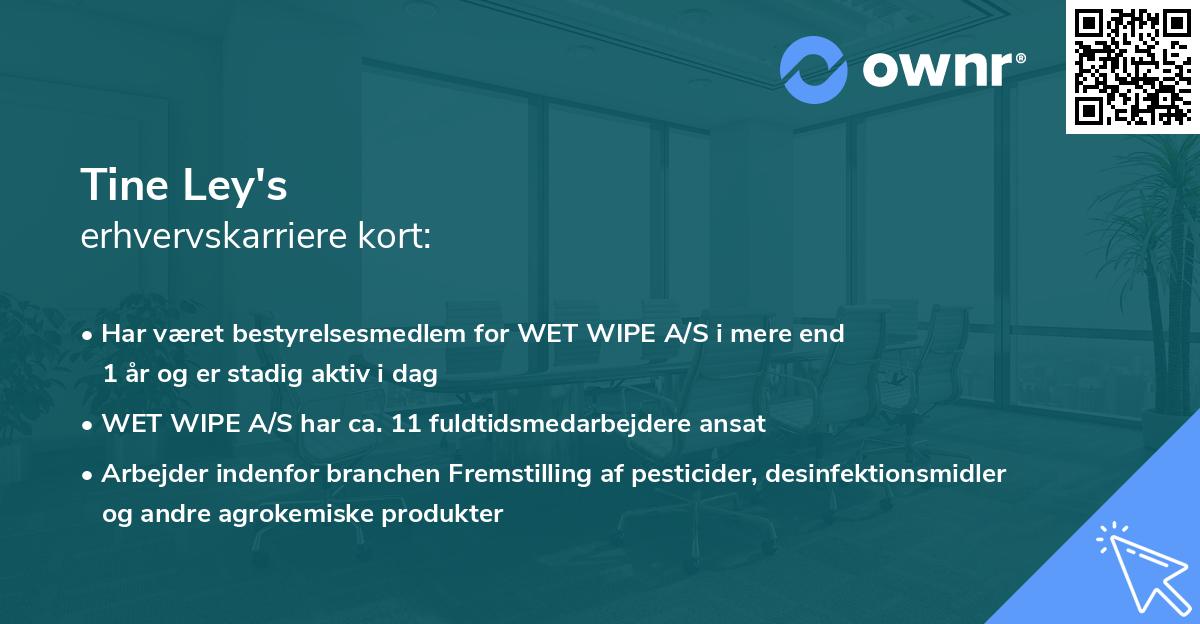 Tine Ley's erhvervskarriere kort