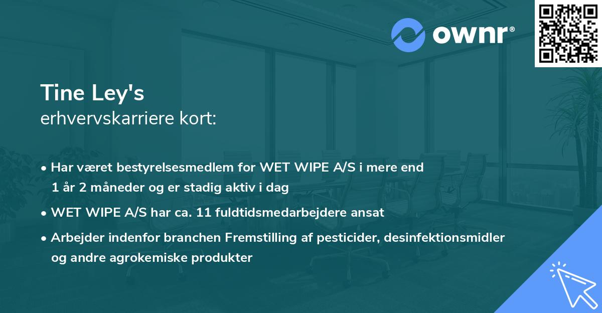 Tine Ley's erhvervskarriere kort