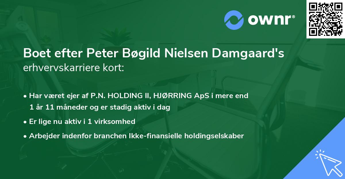 Boet efter Peter Bøgild Nielsen Damgaard's erhvervskarriere kort