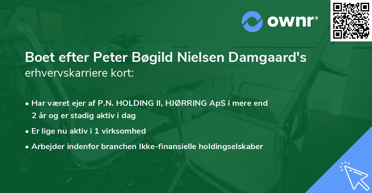 Boet efter Peter Bøgild Nielsen Damgaard's erhvervskarriere kort