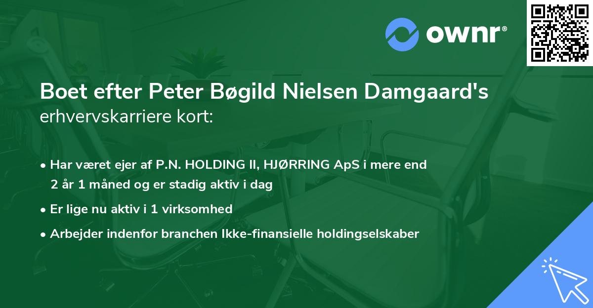 Boet efter Peter Bøgild Nielsen Damgaard's erhvervskarriere kort