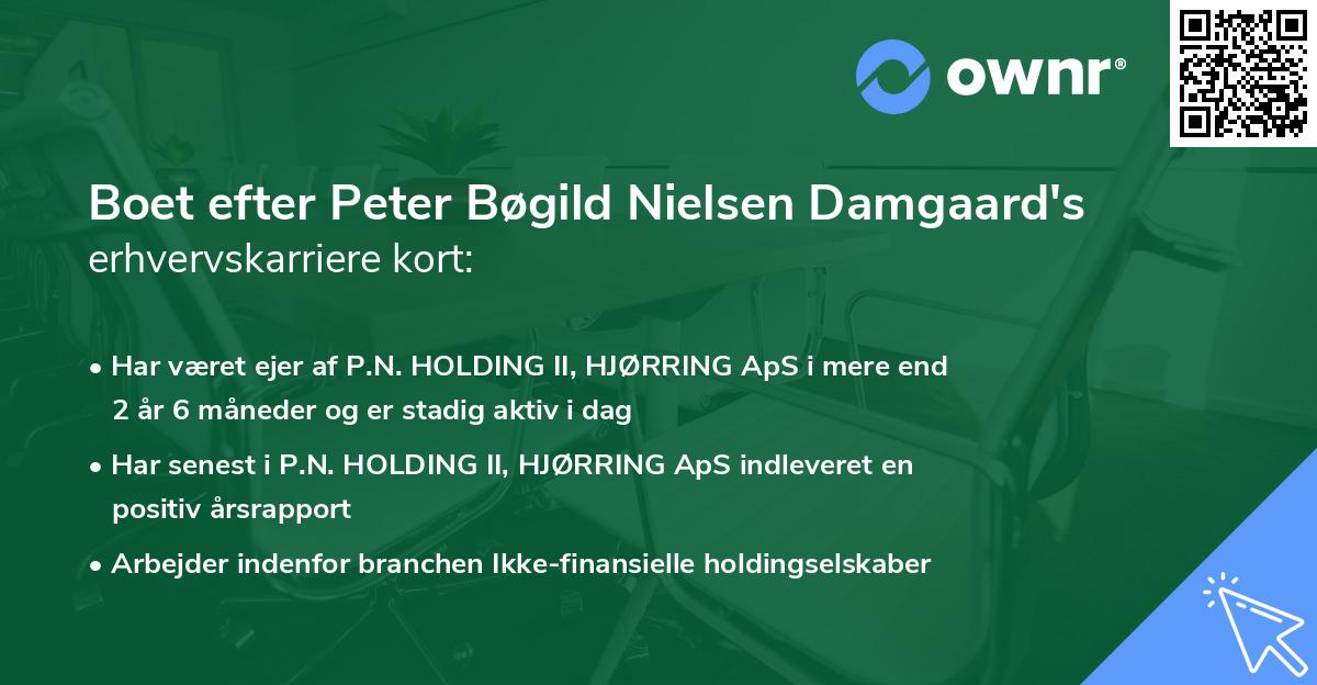 Boet efter Peter Bøgild Nielsen Damgaard's erhvervskarriere kort