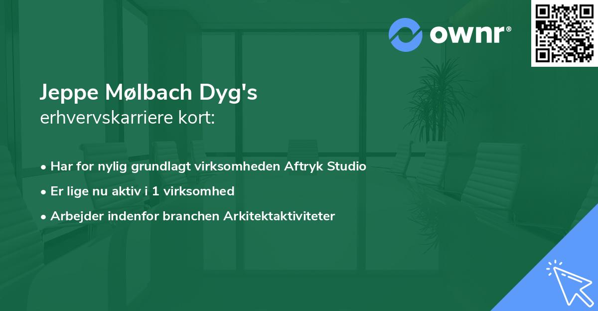 Jeppe Mølbach Dyg's erhvervskarriere kort