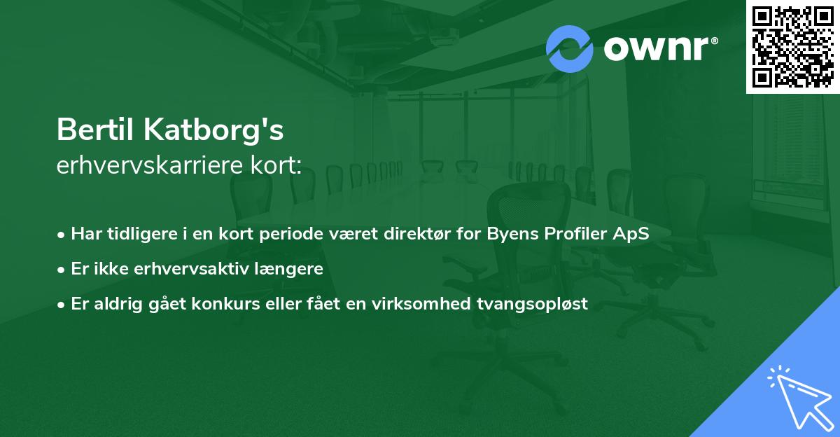 Bertil Katborg's erhvervskarriere kort