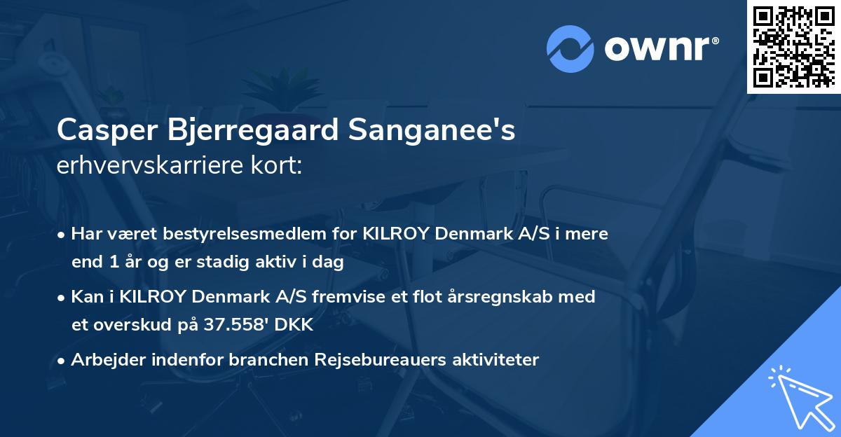 Casper Bjerregaard Sanganee's erhvervskarriere kort