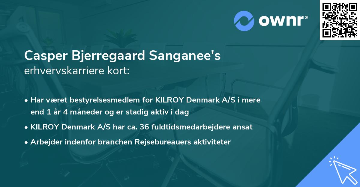 Casper Bjerregaard Sanganee's erhvervskarriere kort