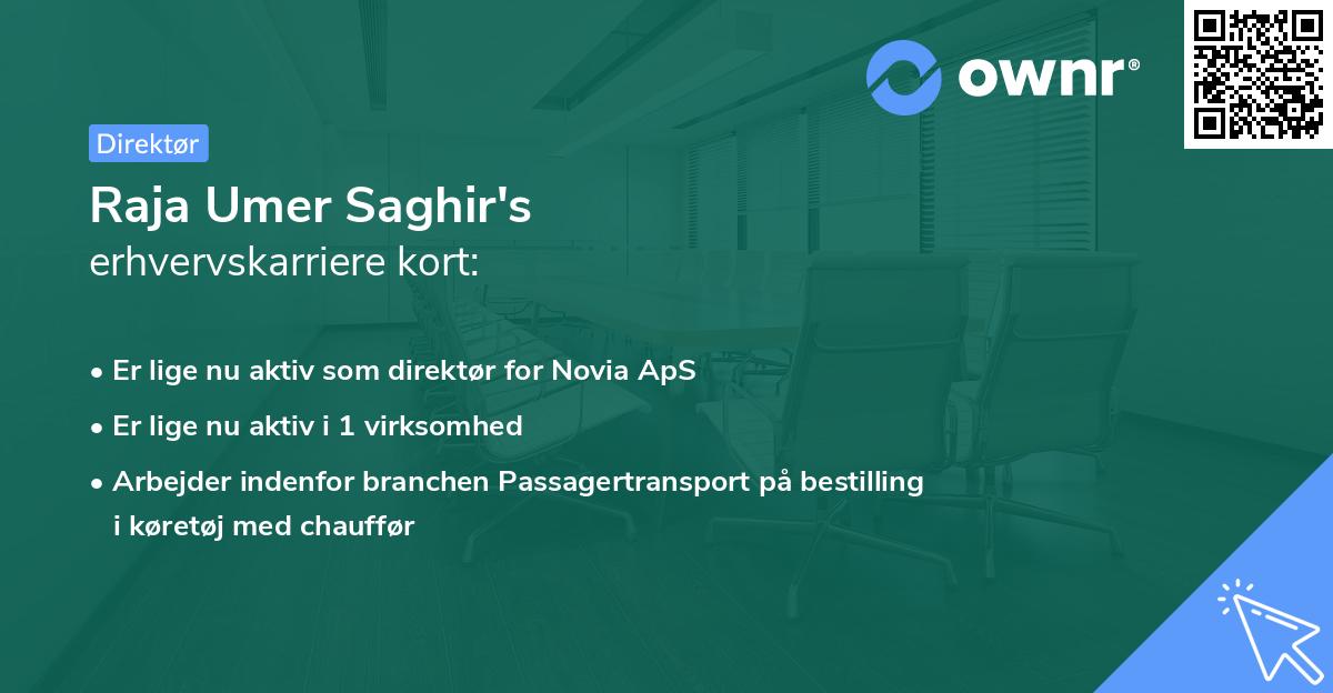Raja Umer Saghir's erhvervskarriere kort