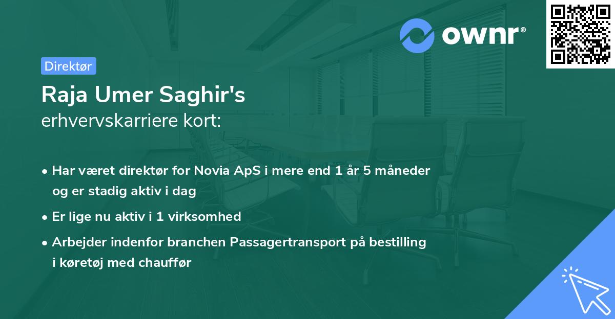 Raja Umer Saghir's erhvervskarriere kort