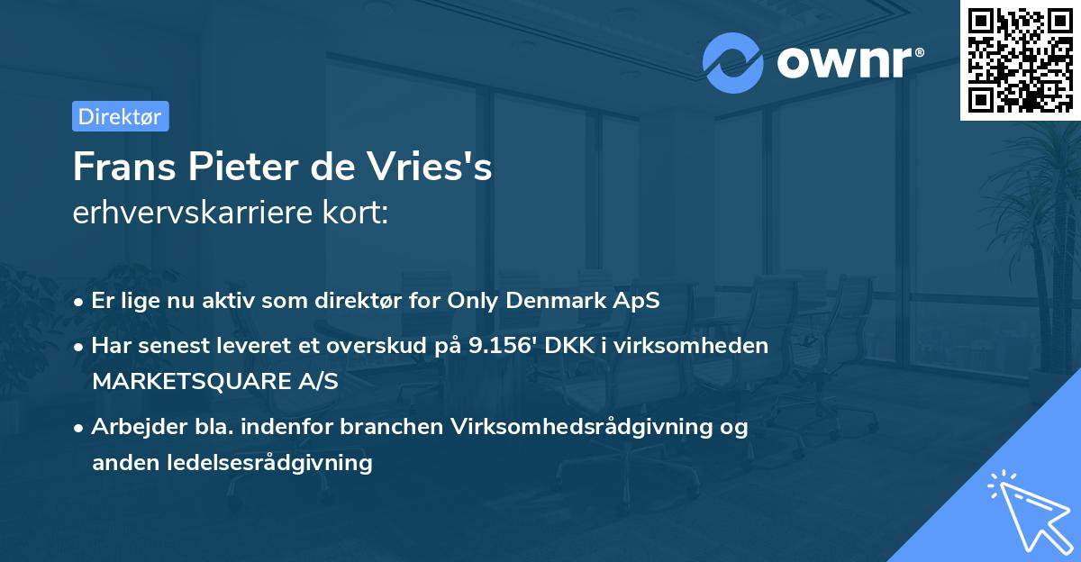 Frans Pieter de Vries's erhvervskarriere kort