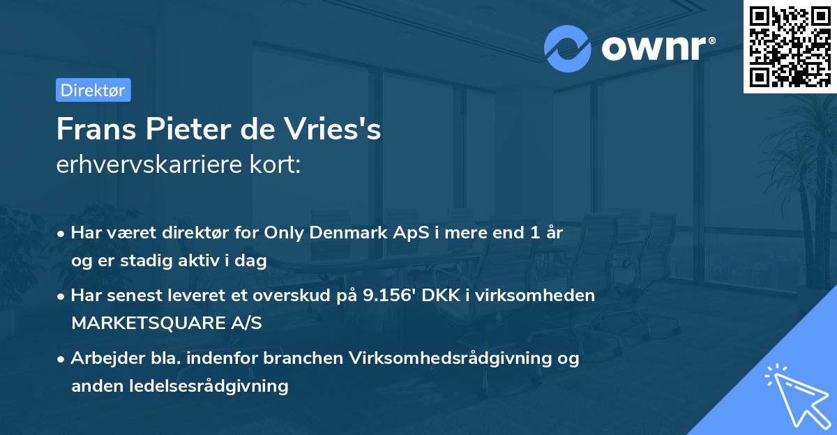 Frans Pieter de Vries's erhvervskarriere kort