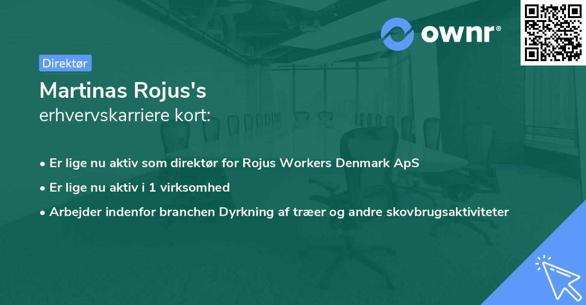 Martinas Rojus's erhvervskarriere kort