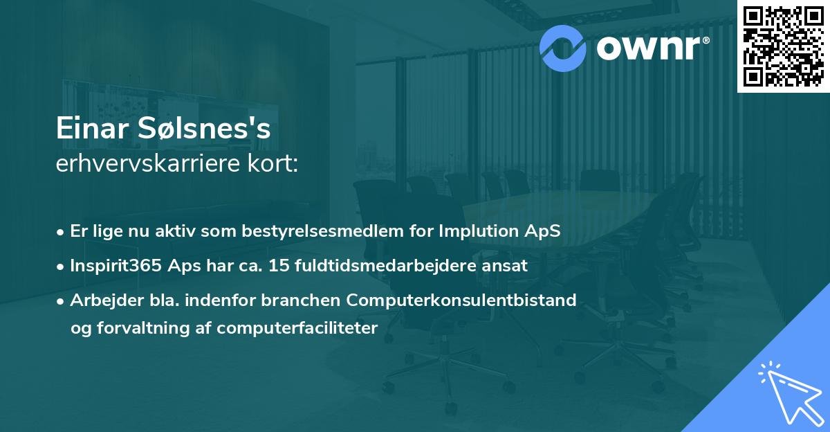 Einar Sølsnes's erhvervskarriere kort