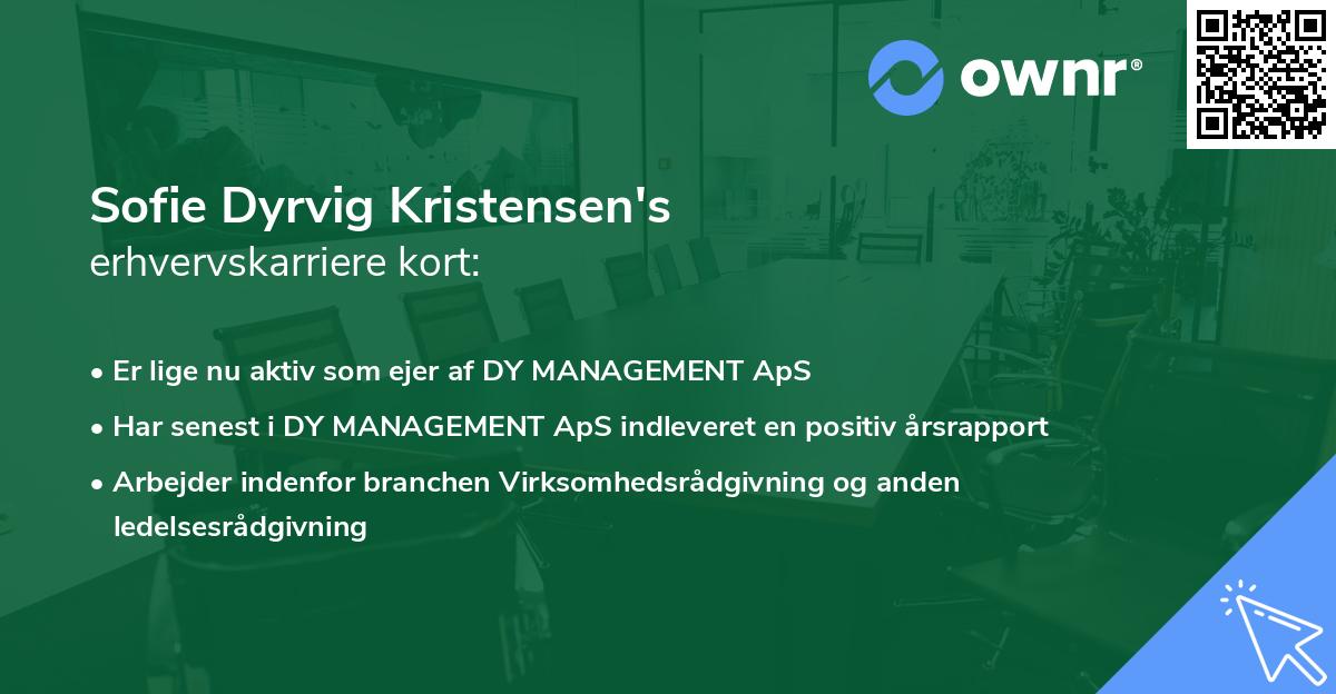 Sofie Dyrvig Kristensen's erhvervskarriere kort