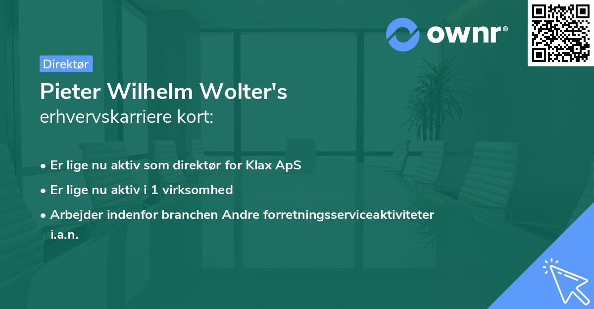 Pieter Wilhelm Wolter's erhvervskarriere kort