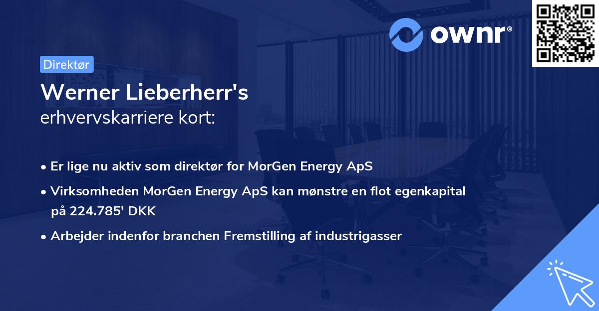 Werner Lieberherr's erhvervskarriere kort