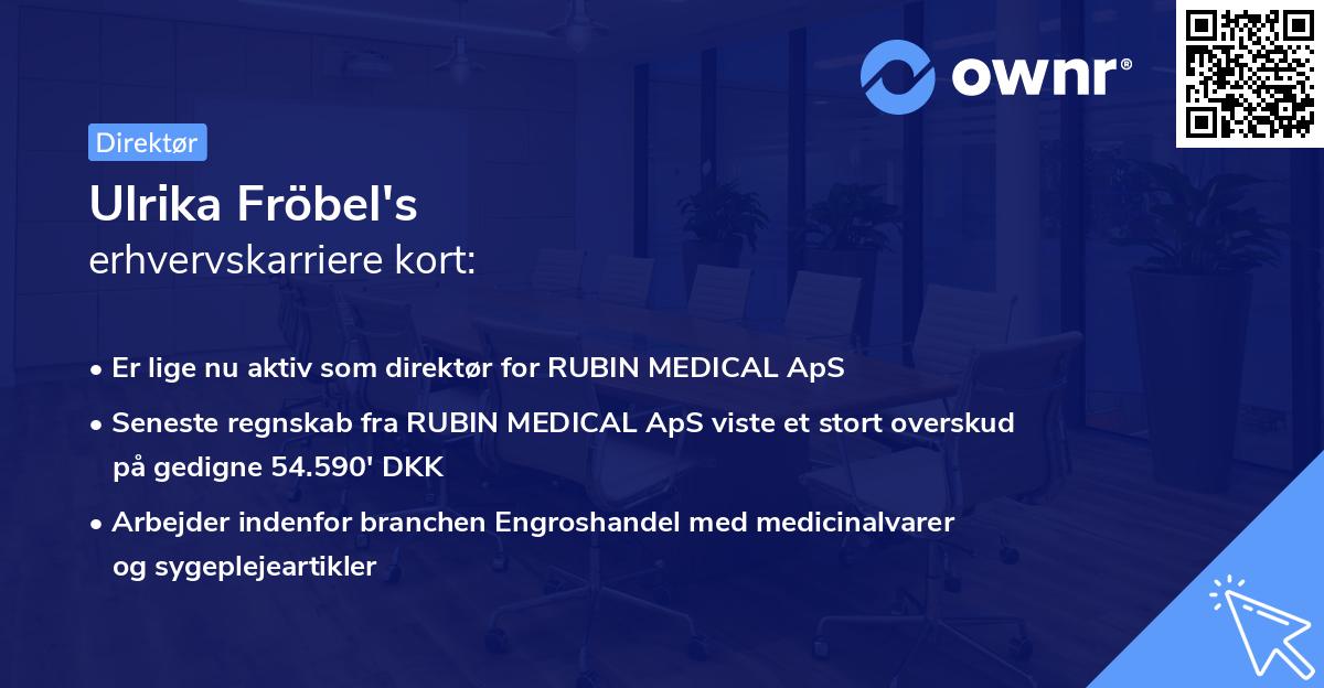 Ulrika Fröbel's erhvervskarriere kort