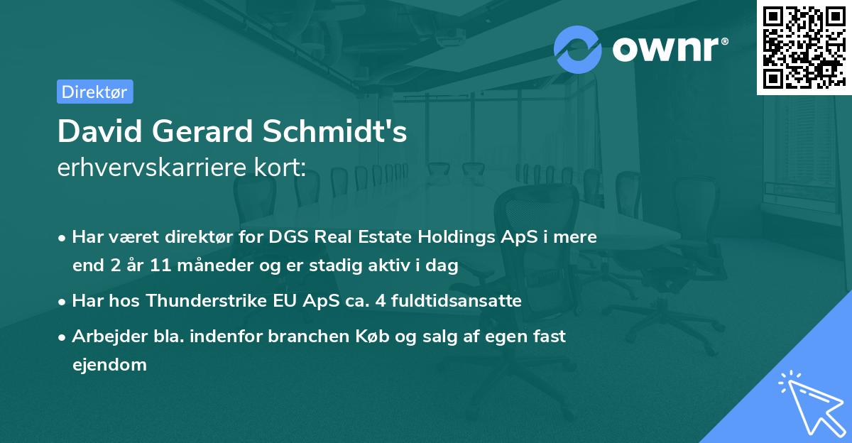 David Gerard Schmidt's erhvervskarriere kort