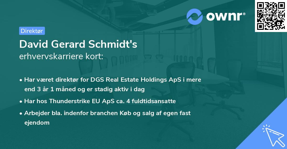 David Gerard Schmidt's erhvervskarriere kort