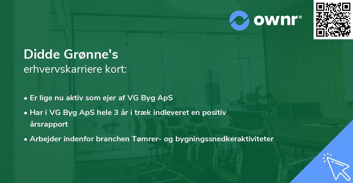 Didde Grønne's erhvervskarriere kort