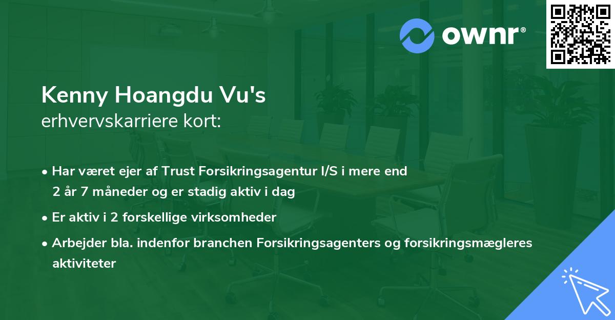 Kenny Hoangdu Vu's erhvervskarriere kort