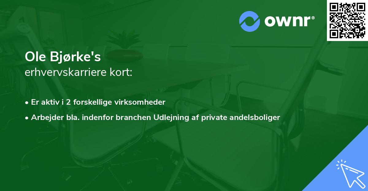 Ole Bjørke's erhvervskarriere kort