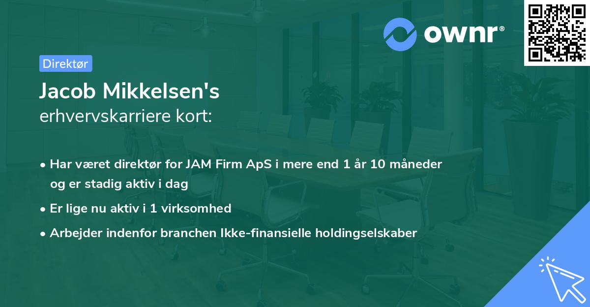 Jacob Mikkelsen's erhvervskarriere kort