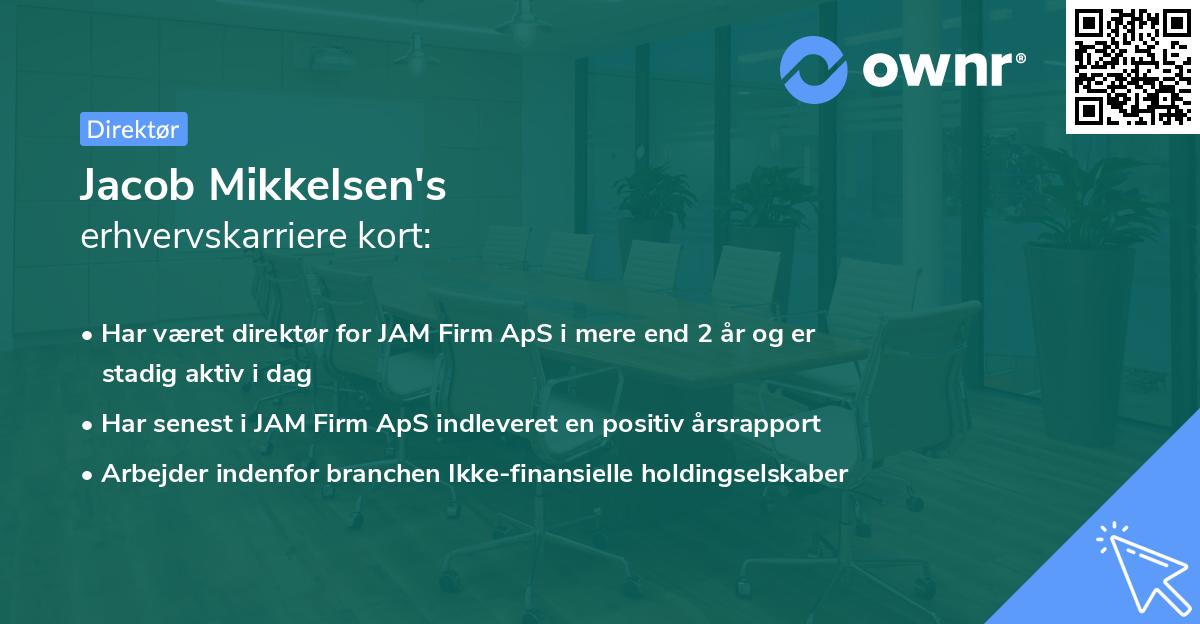 Jacob Mikkelsen's erhvervskarriere kort