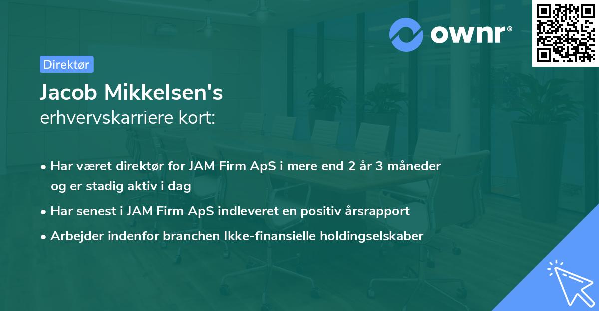 Jacob Mikkelsen's erhvervskarriere kort
