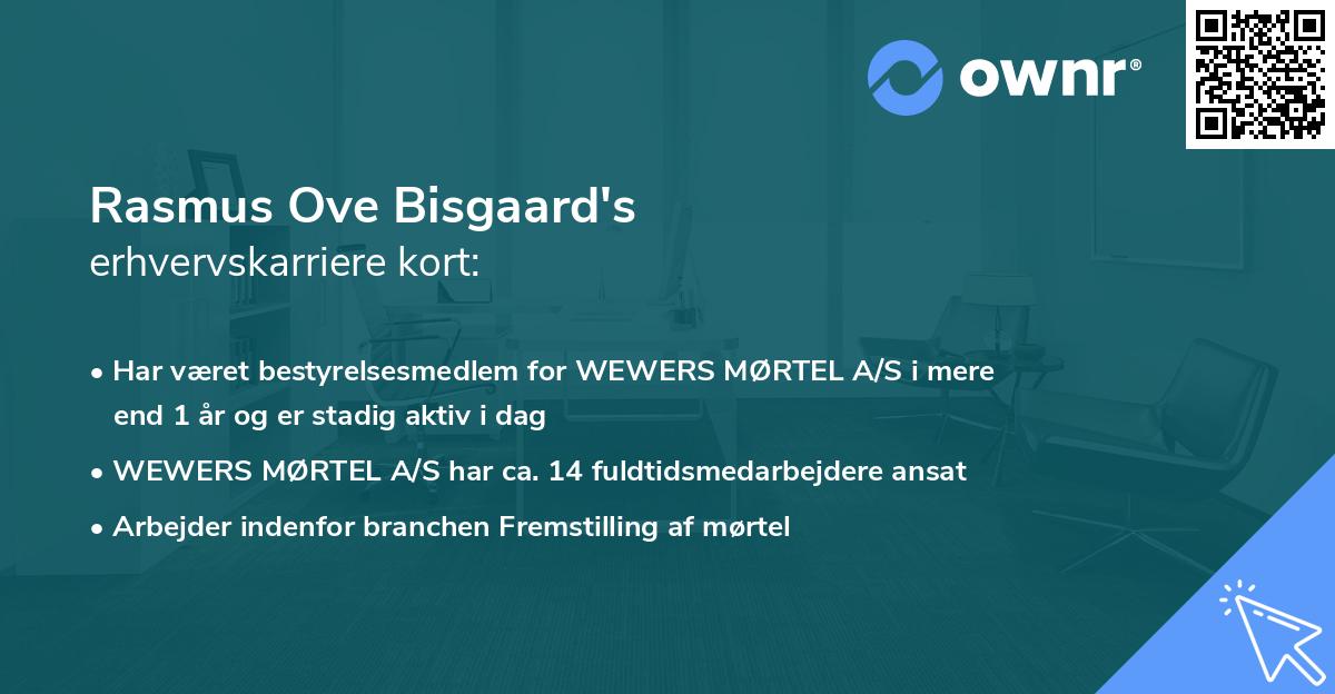 Rasmus Ove Bisgaard's erhvervskarriere kort