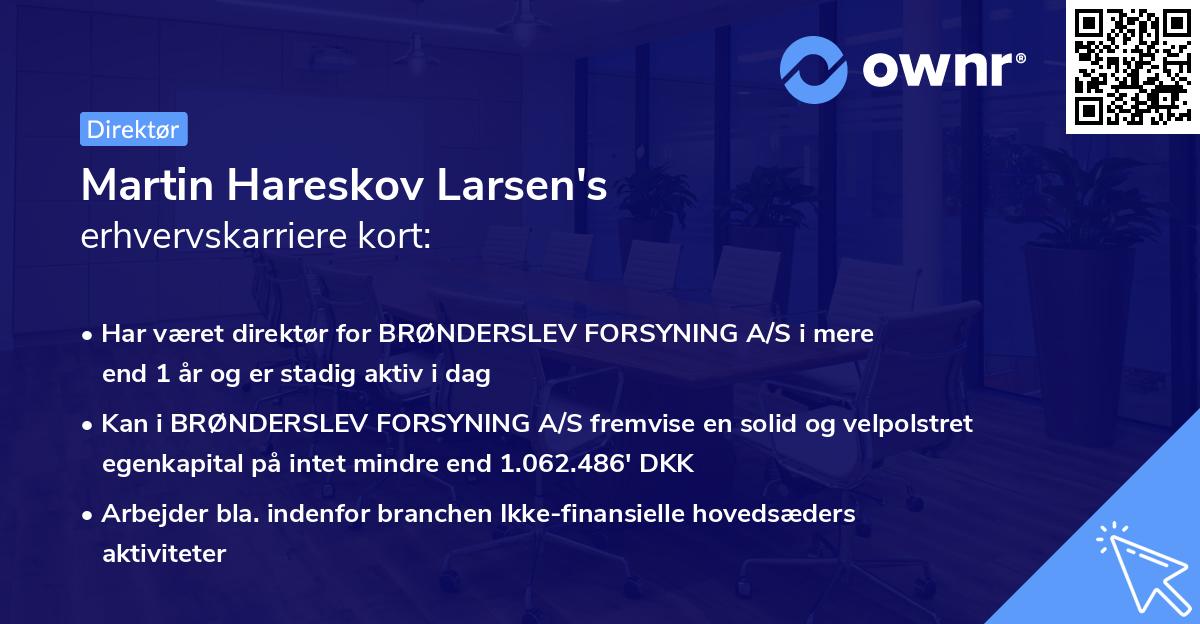 Martin Hareskov Larsen's erhvervskarriere kort
