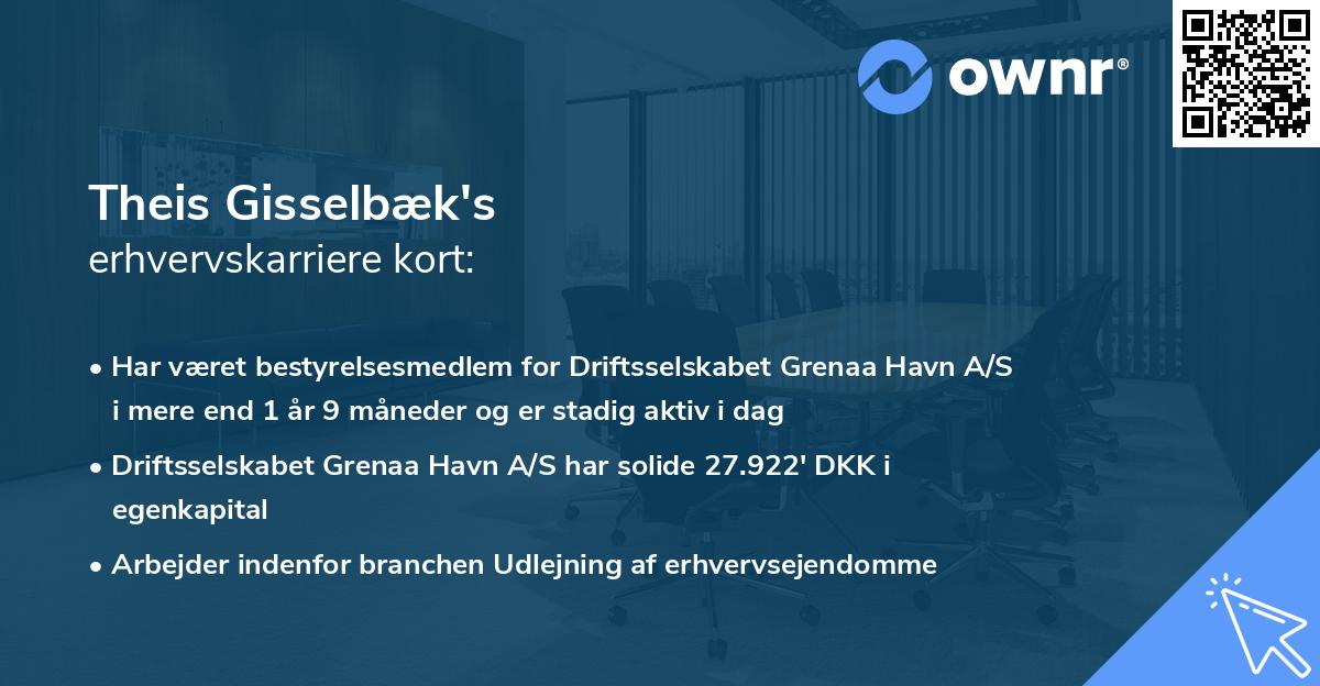 Theis Gisselbæk's erhvervskarriere kort