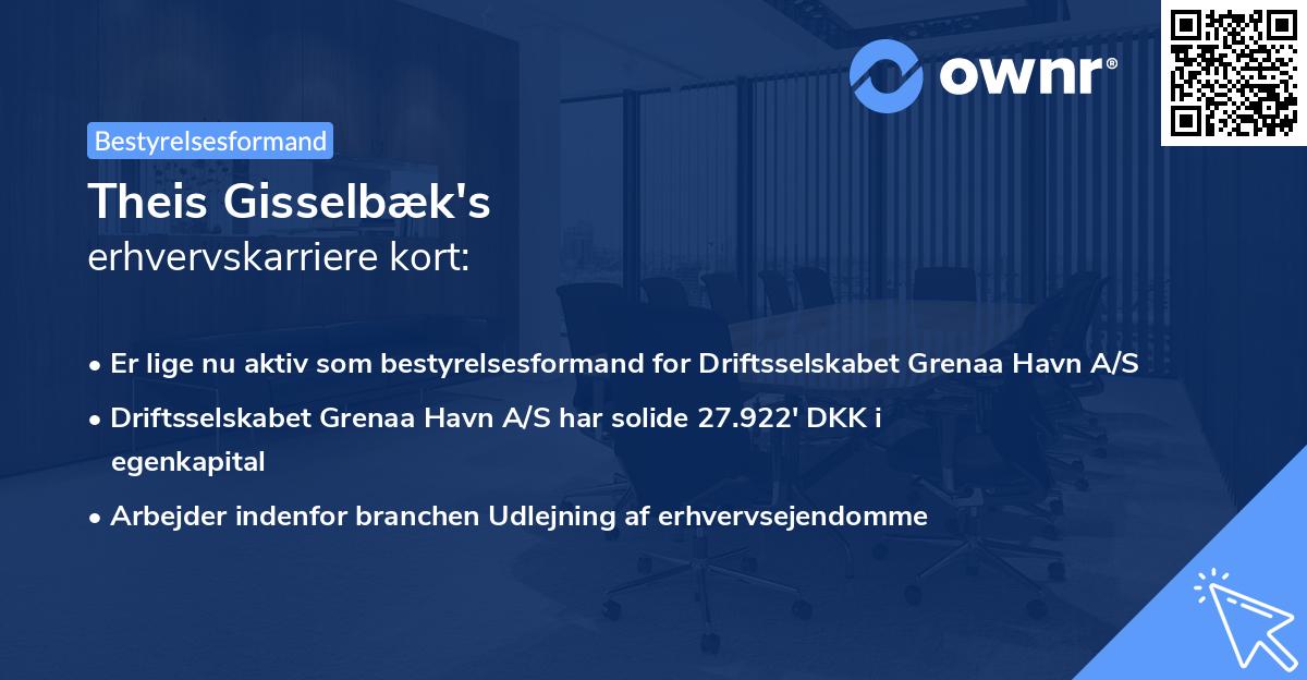 Theis Gisselbæk's erhvervskarriere kort