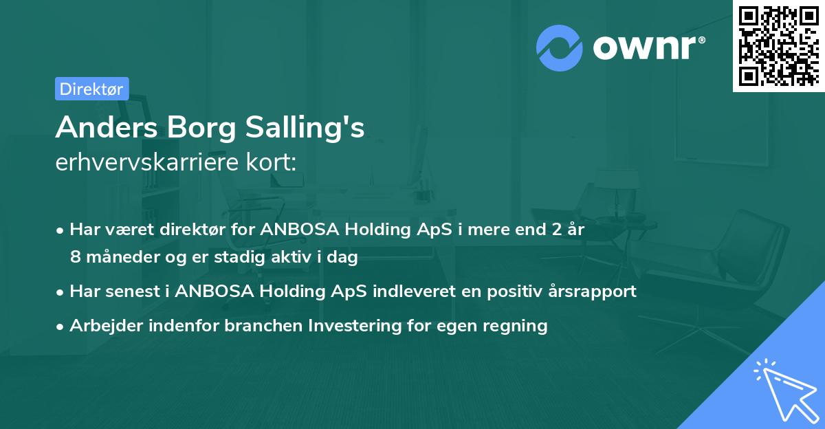 Anders Borg Salling's erhvervskarriere kort