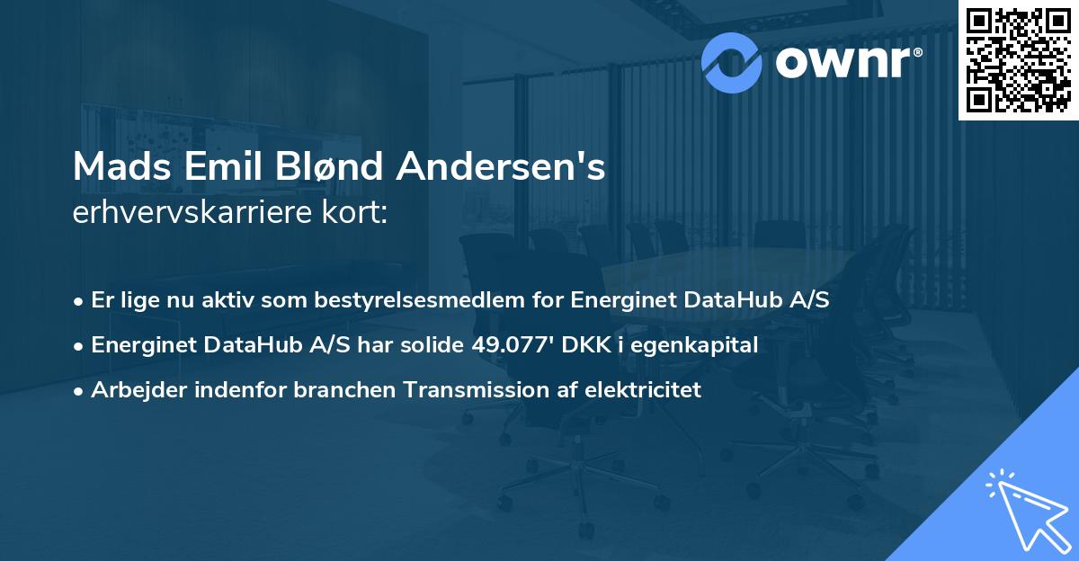 Mads Emil Blønd Andersen's erhvervskarriere kort