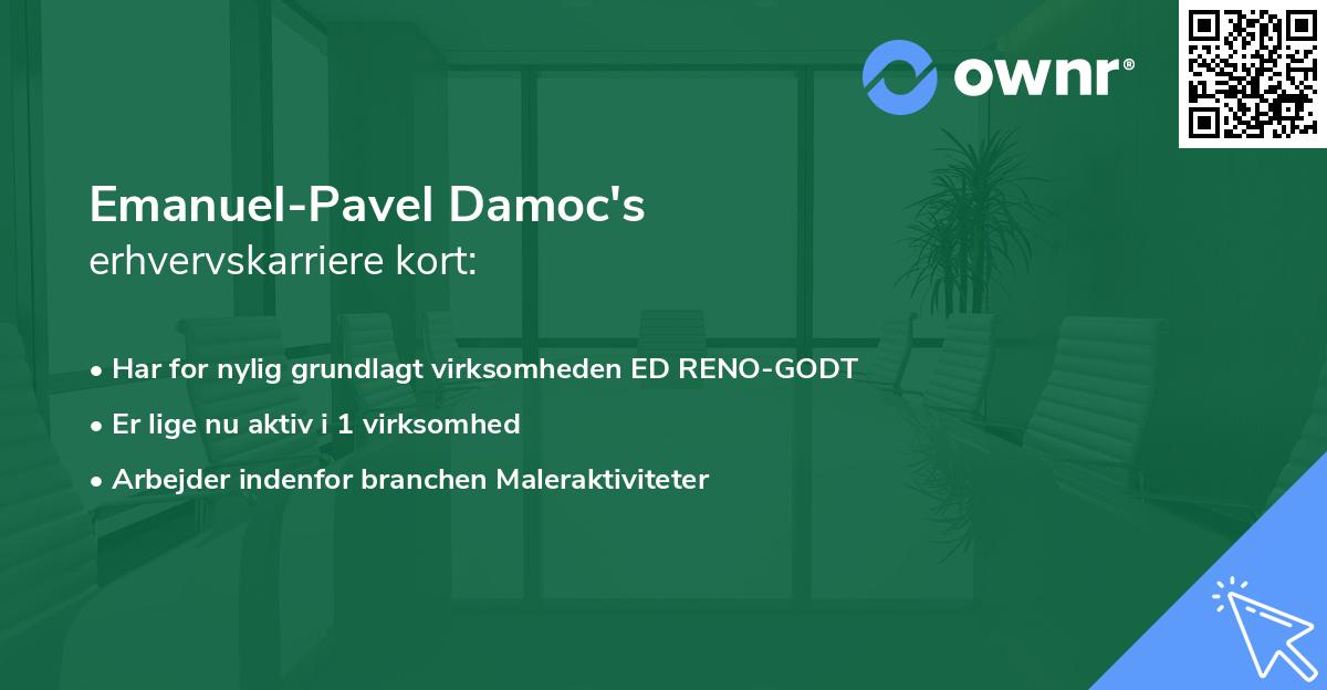 Emanuel-Pavel Damoc's erhvervskarriere kort