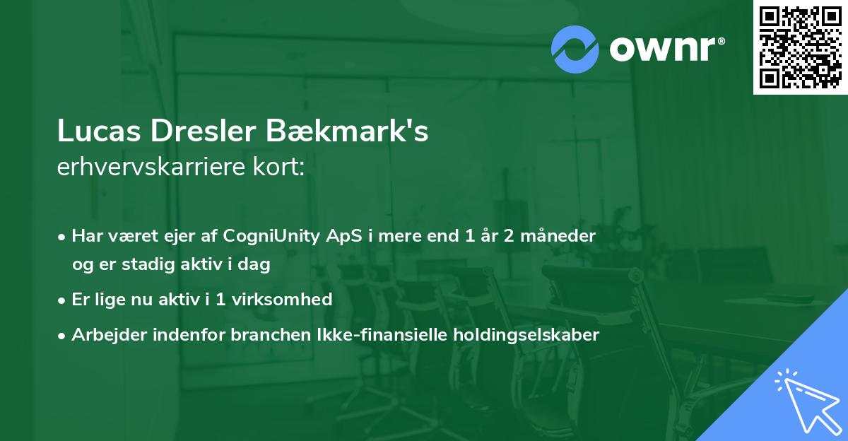 Lucas Dresler Bækmark's erhvervskarriere kort