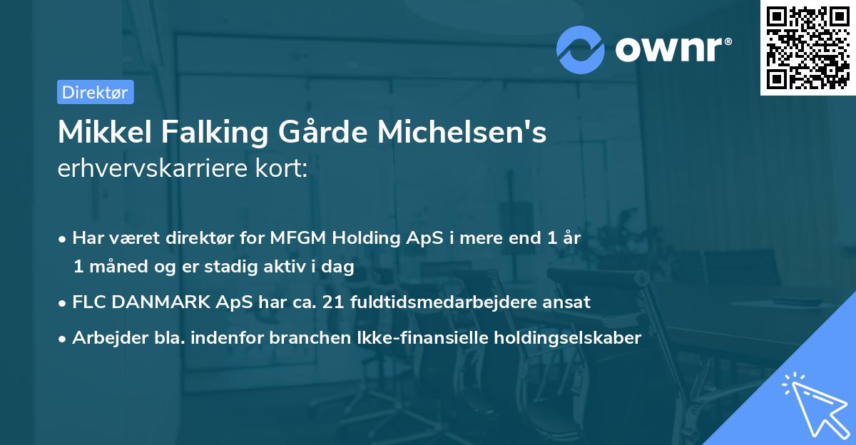Mikkel Falking Gårde Michelsen's erhvervskarriere kort